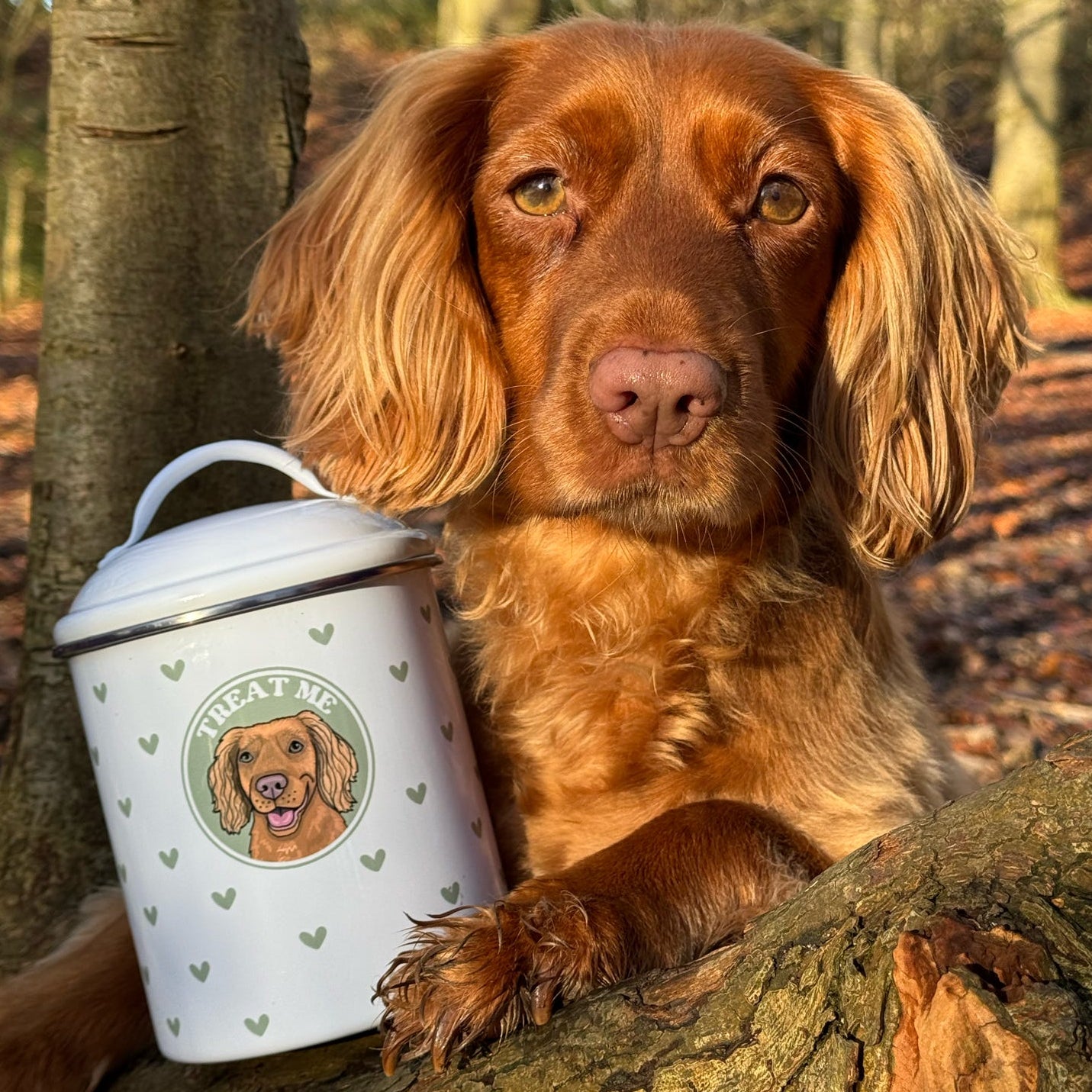 Dainty Hearts Treat Tin