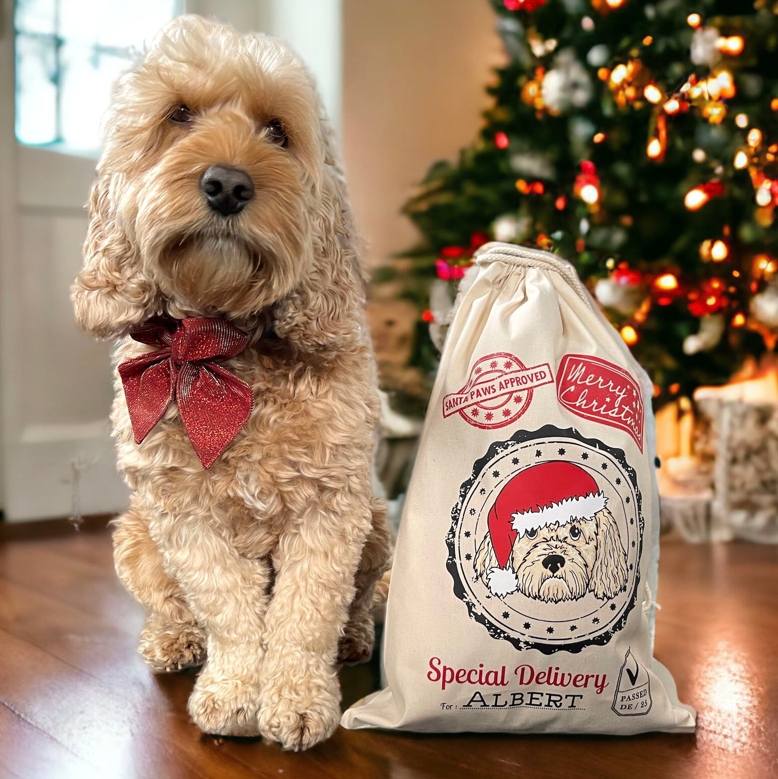 Pesonalised Santa Paws Santa Sack