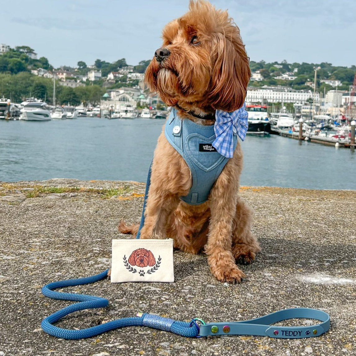 Ulti-MUTT Personalised Treat Pouch