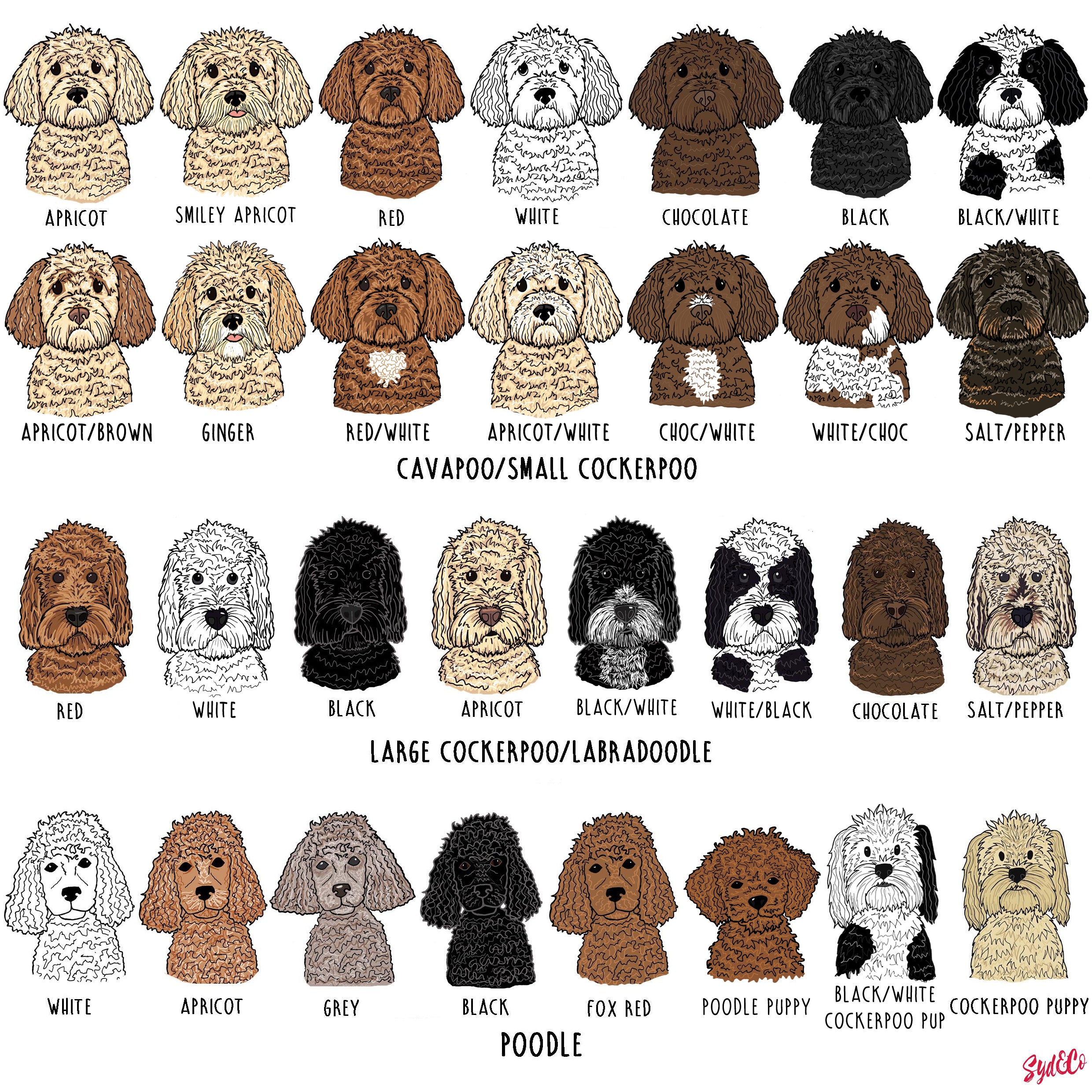 Personalised Pet Illustration