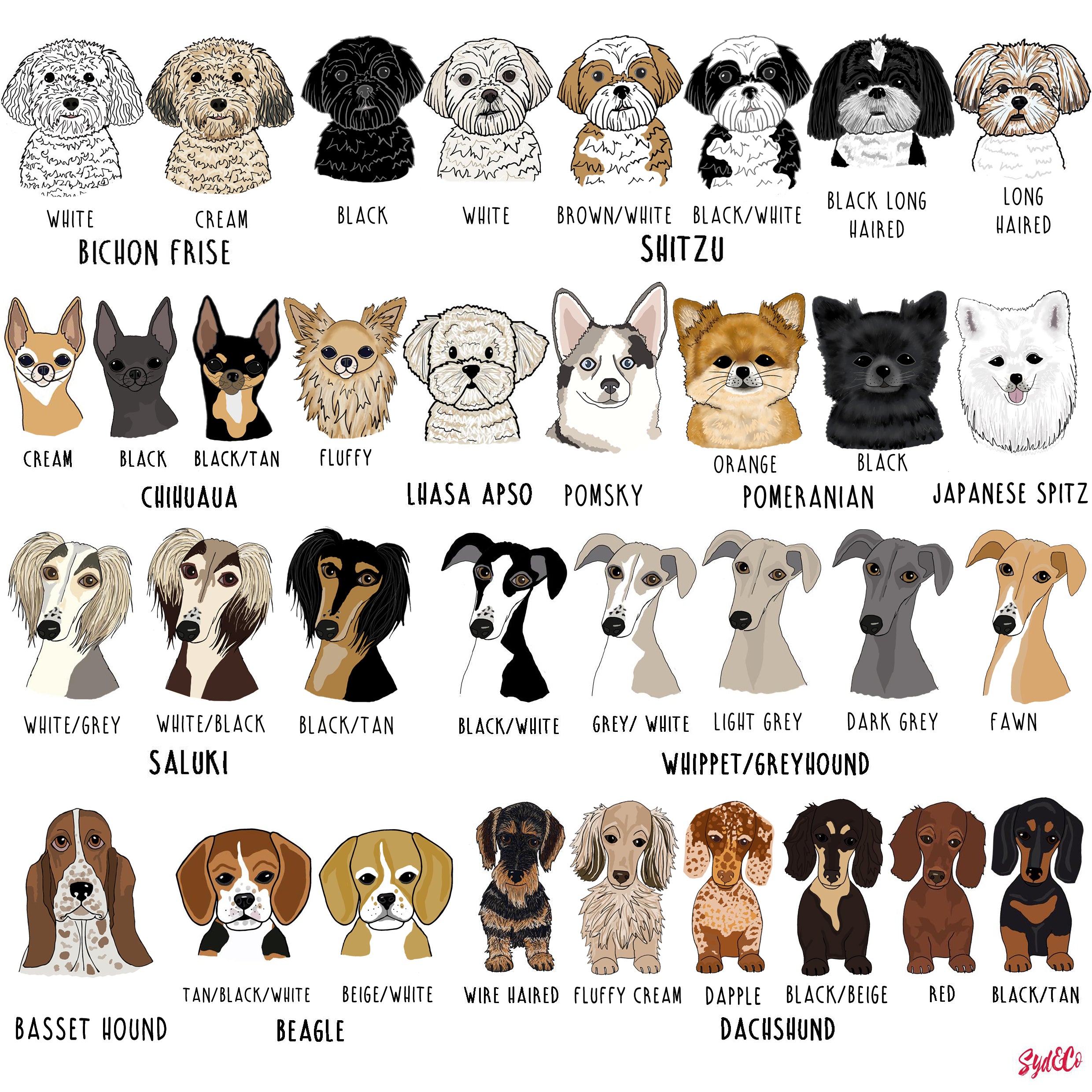 Personalised Pet Illustration