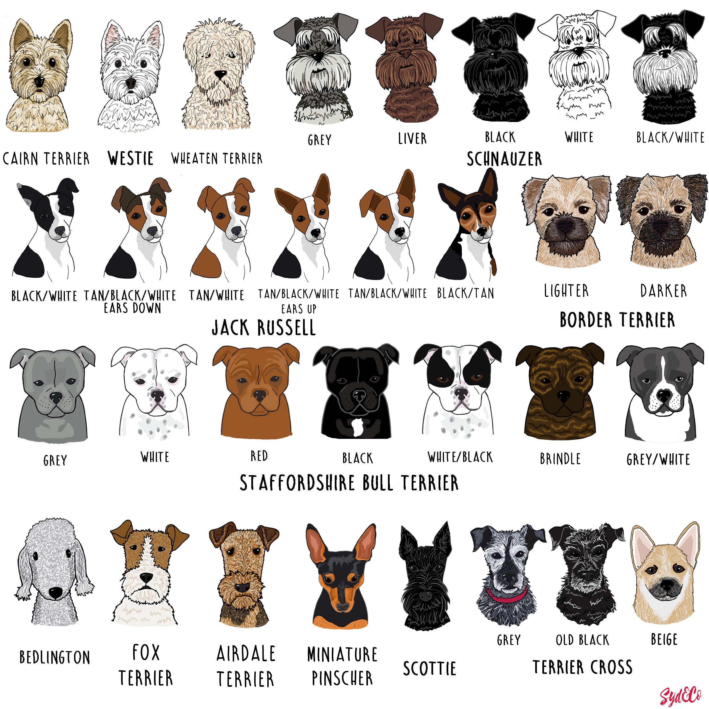 Personalised Dog Motif Sweatshirt