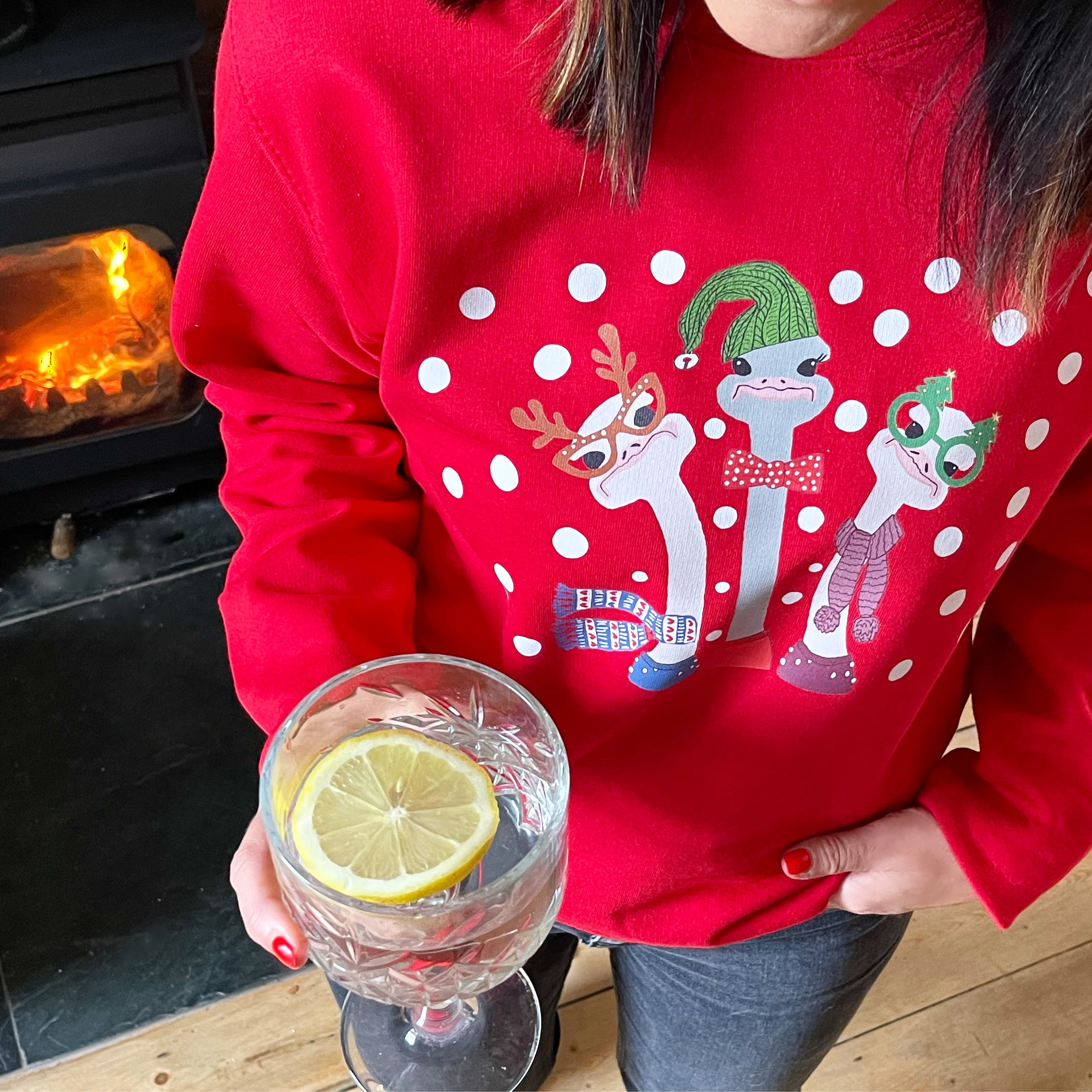 "We Three Ostrich" Christmas Jumper