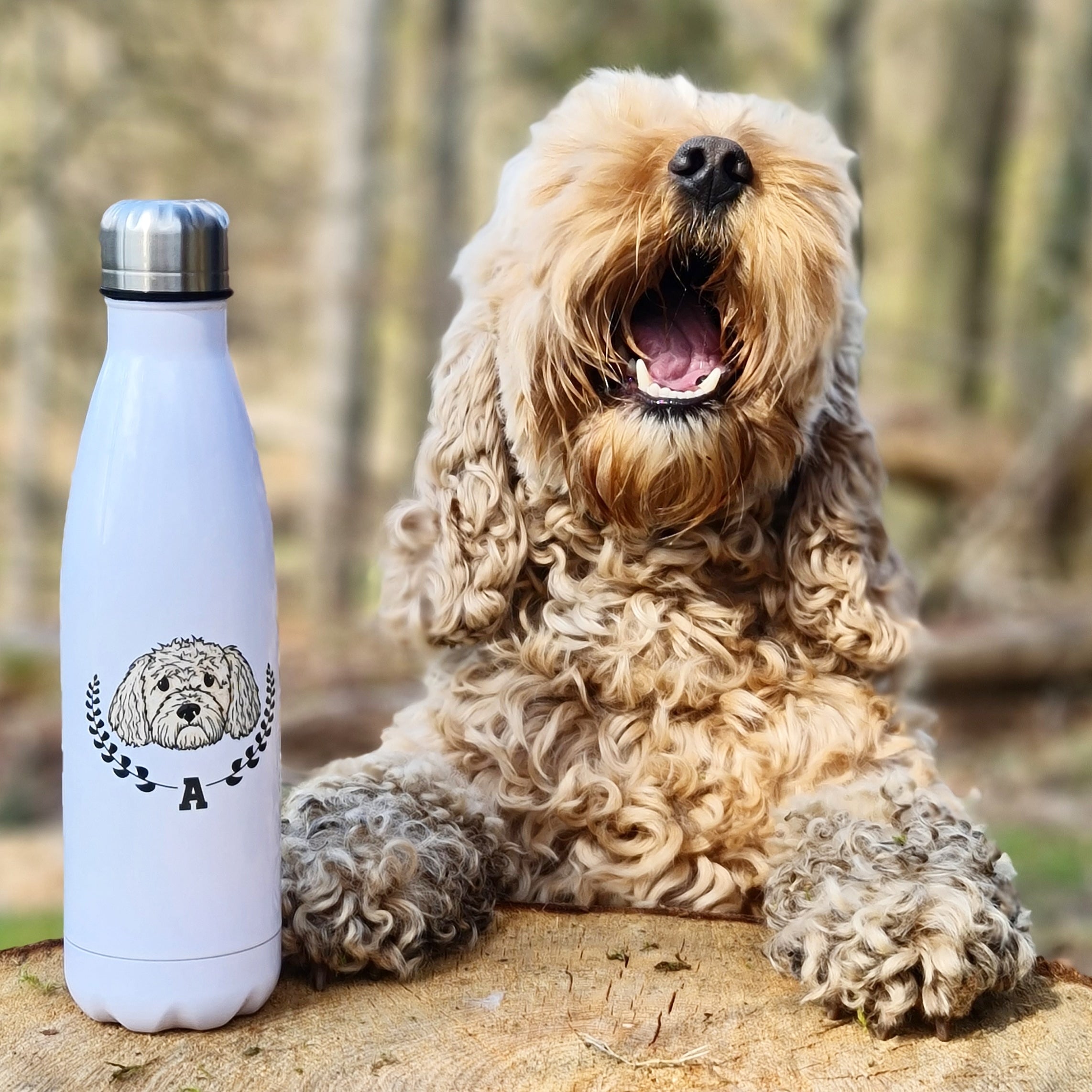 The Ulti-Mutt Dog Water Bottle
