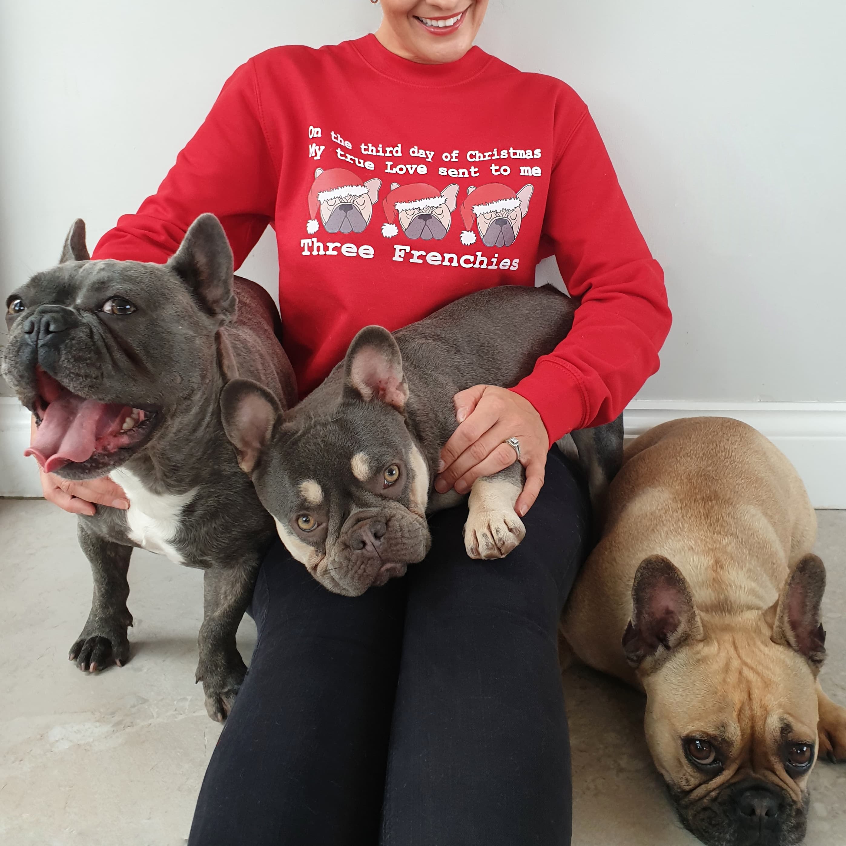 Three Frenchies Christmas Jumper