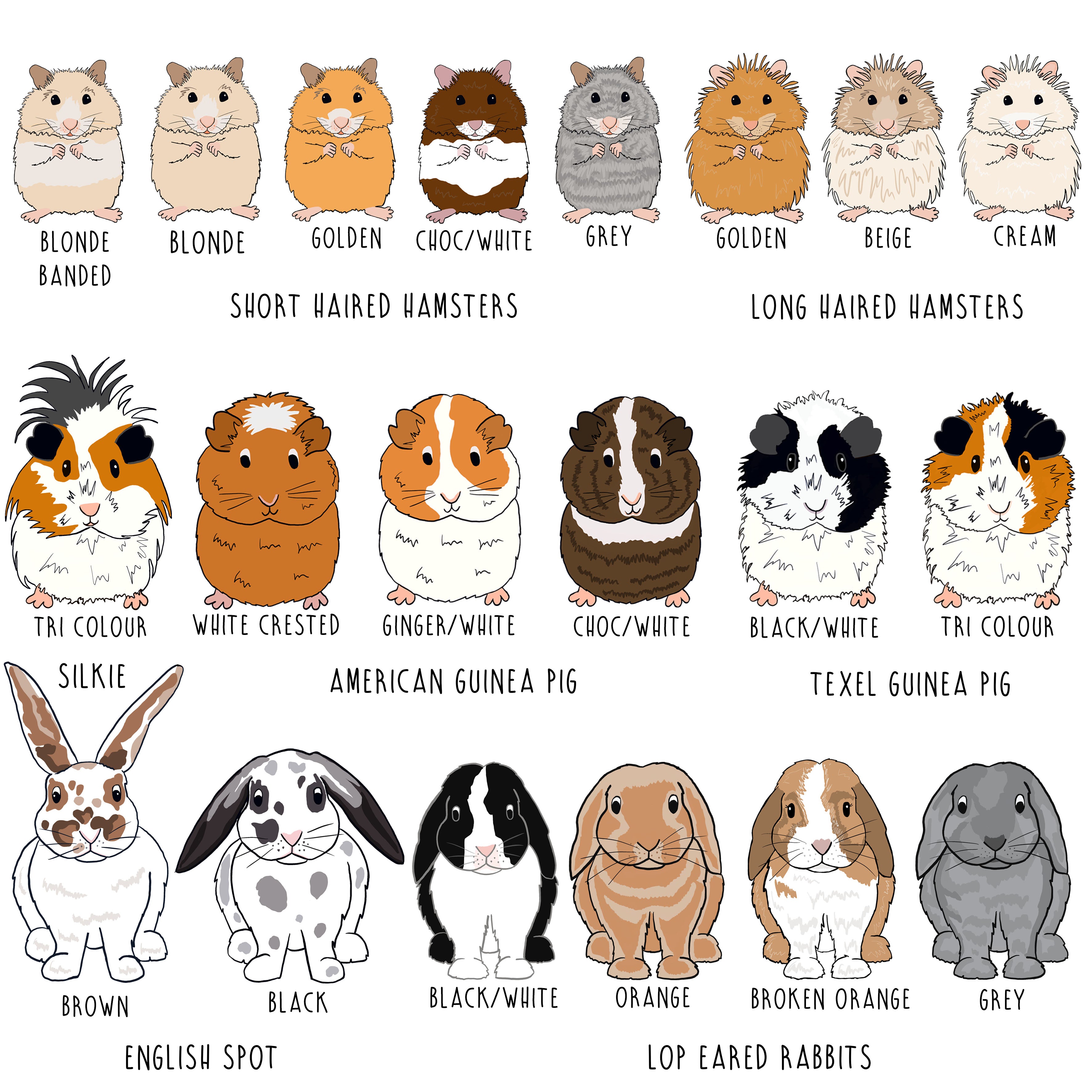 Personalised Hamster, Rabbit, Guinea pig Treat Bag