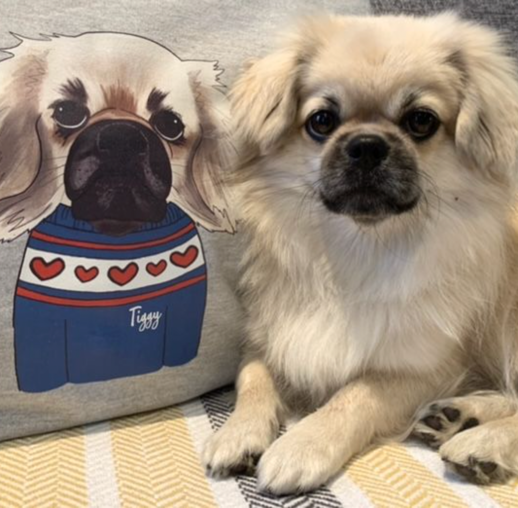 Custom top dog jumper