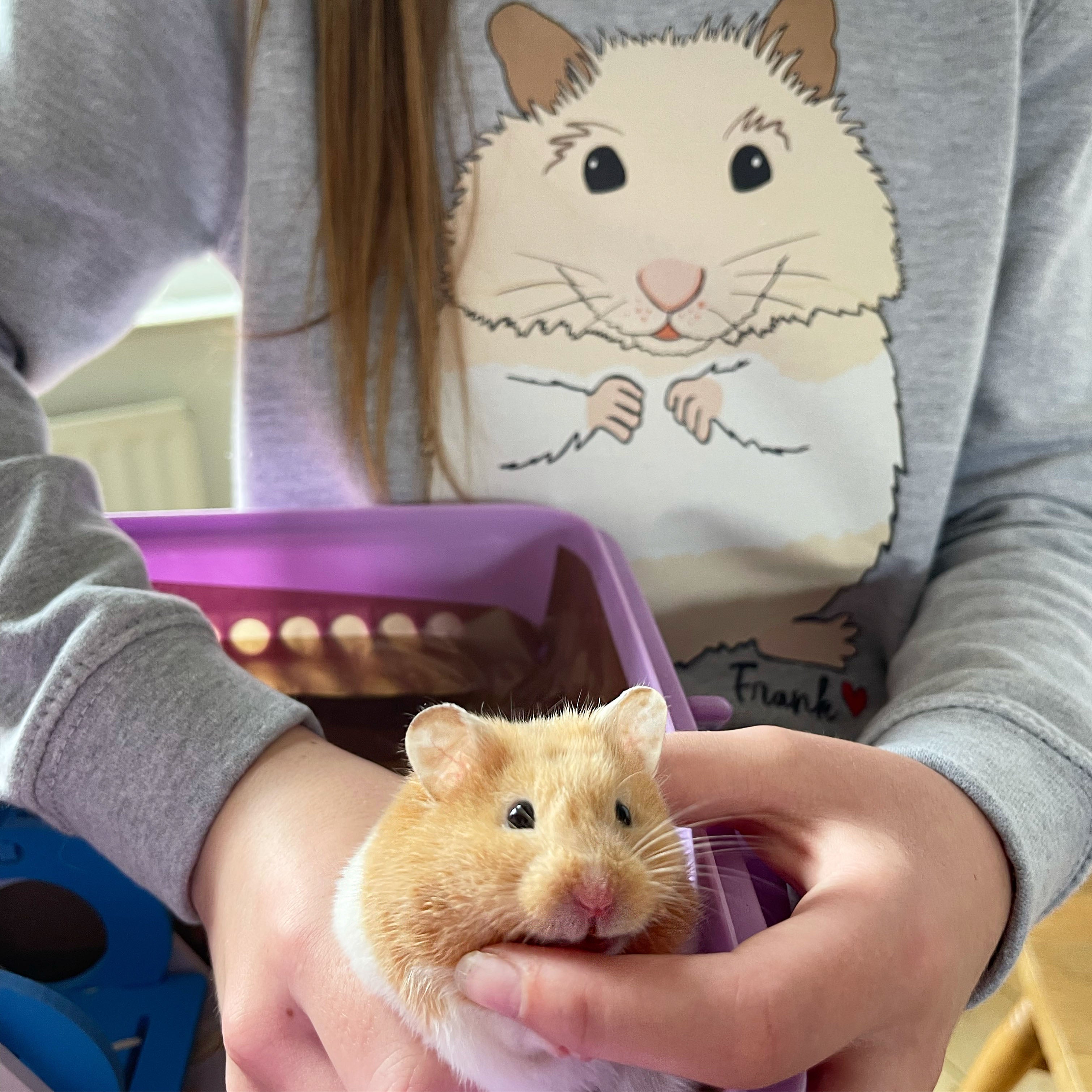 The Personalised Naked Hamster, Rabbit and Guinea pig Jumper
