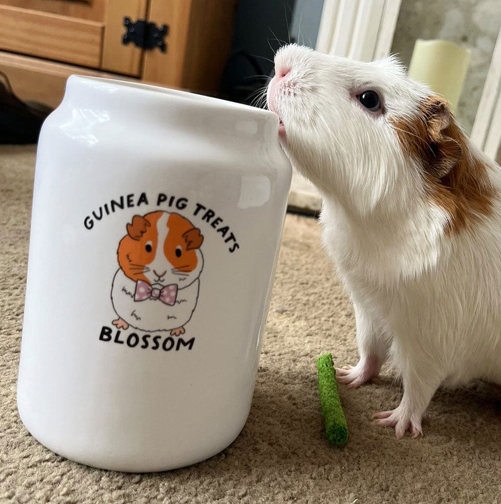 Personalised Guinea Pig Treat Jar