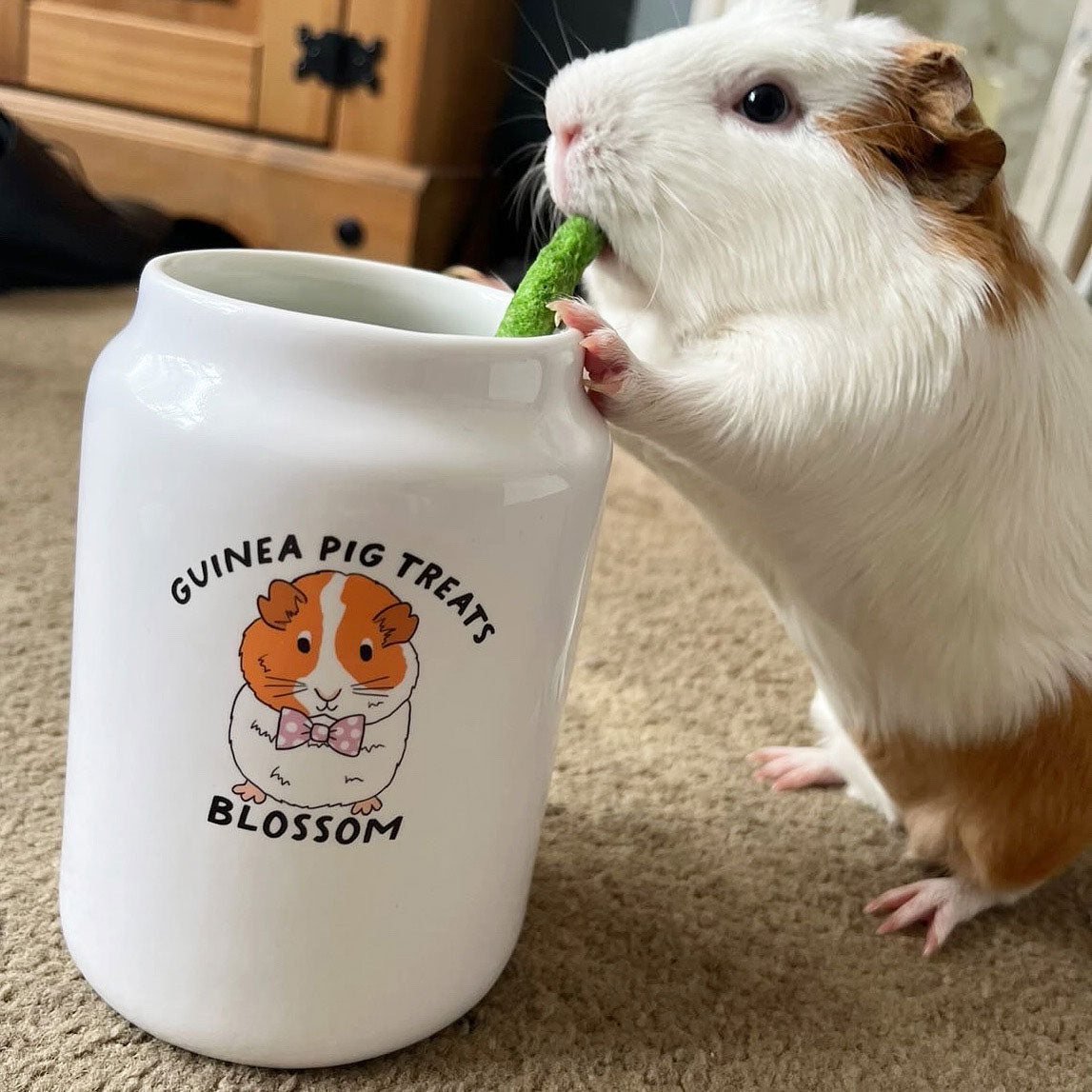 Personalised Guinea Pig Treat Jar