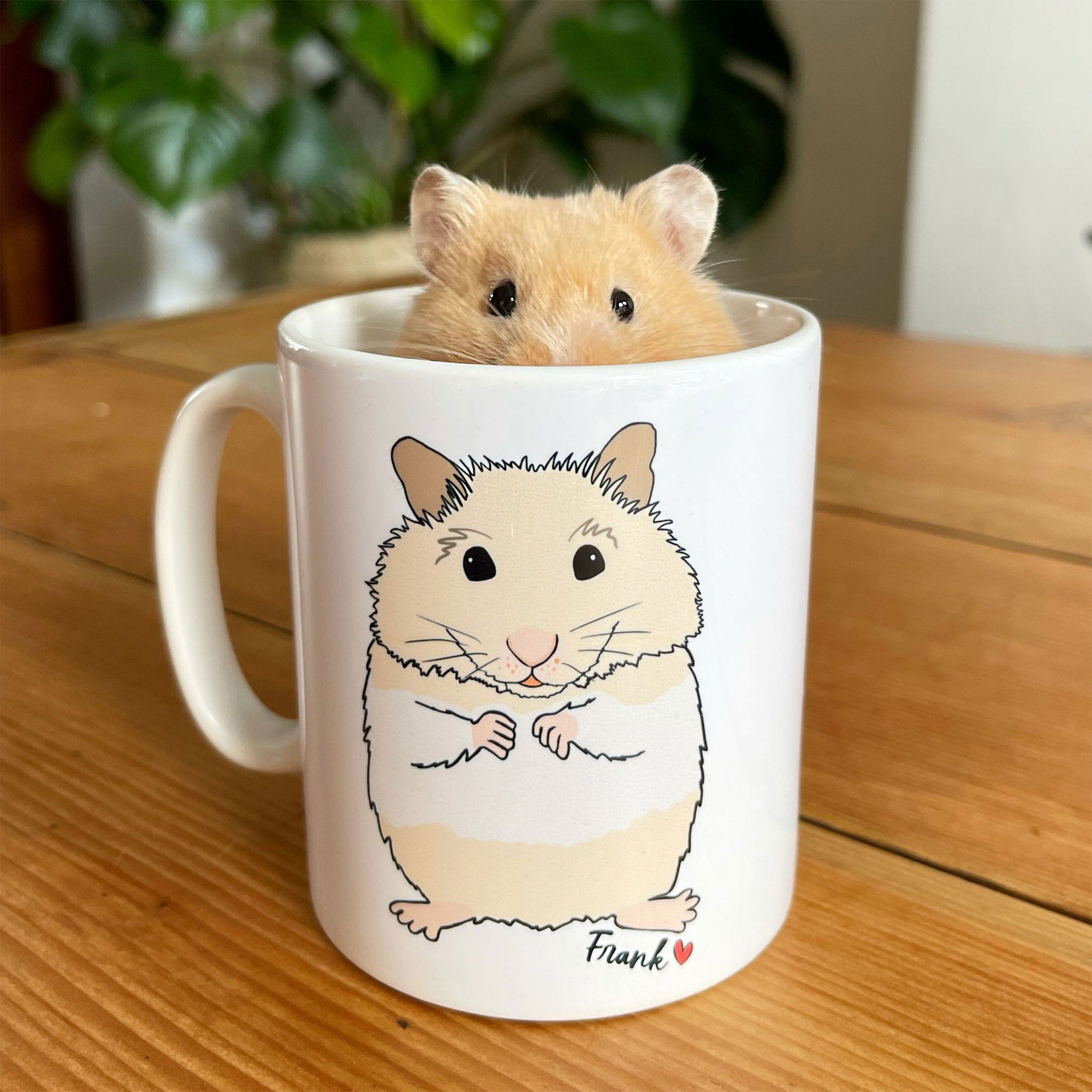 Personalised Hamster, Rabbit, Guinea pig Lover Mug