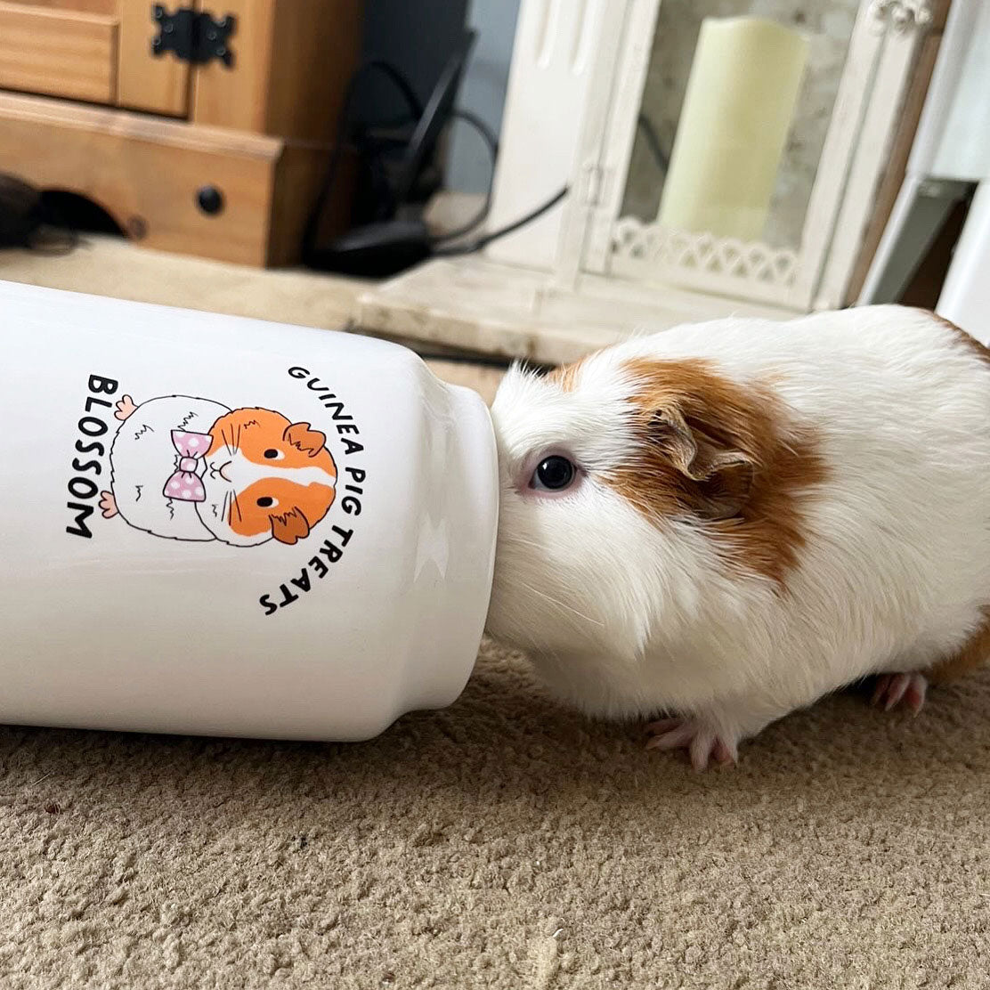 Personalised Guinea Pig Treat Jar