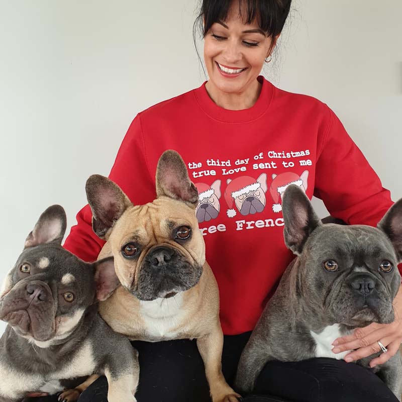 Red and Grey 'Three Frenchies' Christmas  Jumper